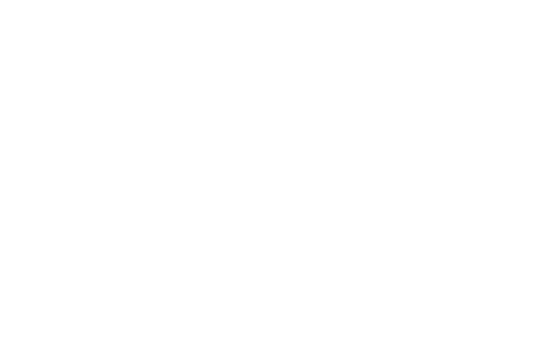 mhs vision